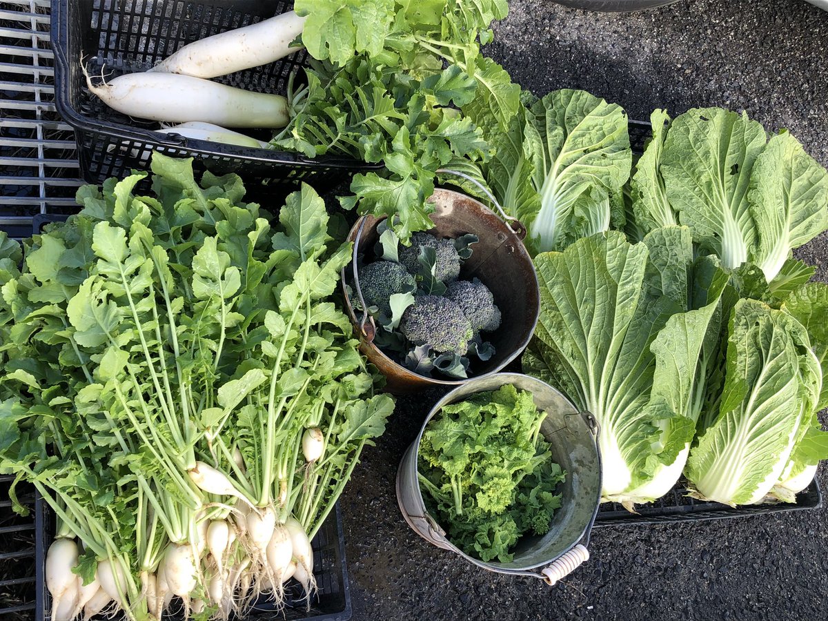 ゆうなおちゃんに ((꜆꜄ ˙꒳˙)꜆꜄꜆ﾎﾟﾁﾎﾟﾁ📱♬∗*ﾟ︎💕︎︎ 今日も