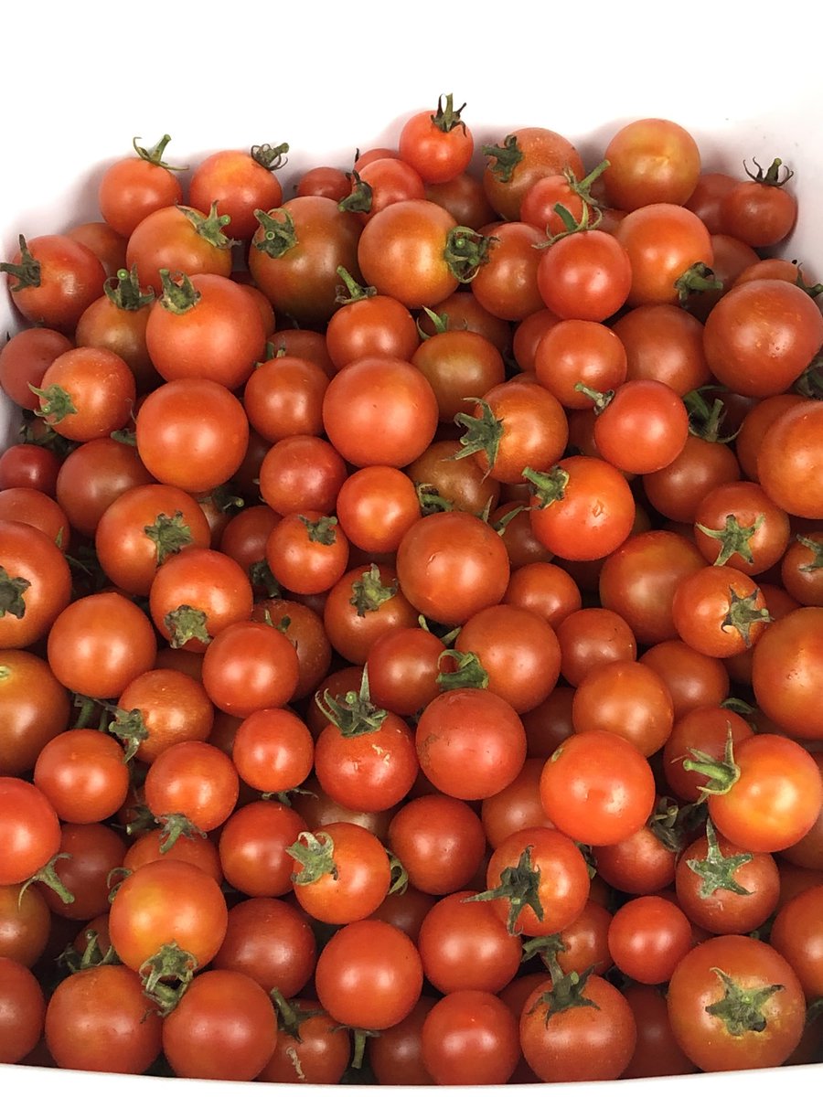 ゆうなおちゃんに ((꜆꜄ ˙꒳˙)꜆꜄꜆ﾎﾟﾁﾎﾟﾁ📱♬∗*ﾟ︎💕︎︎ 今日も