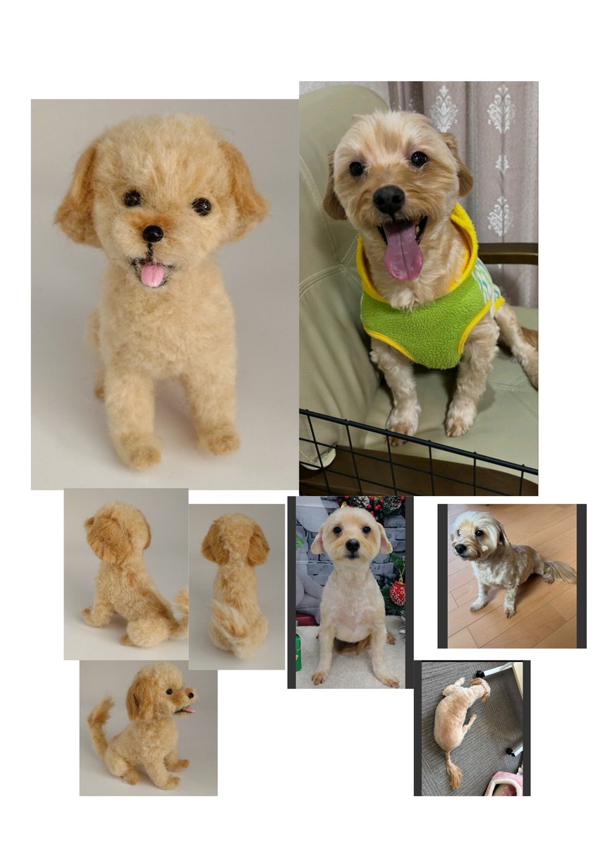 【Marocari➷プロフ必読ෆ͙⃛】チワワ ペキプー 羊毛 ストラップ 🐻‍❄️🧁🤍 ましゅべいびー🍼💭 . . ♡ #パピー#ふわもこ部 #立ち耳