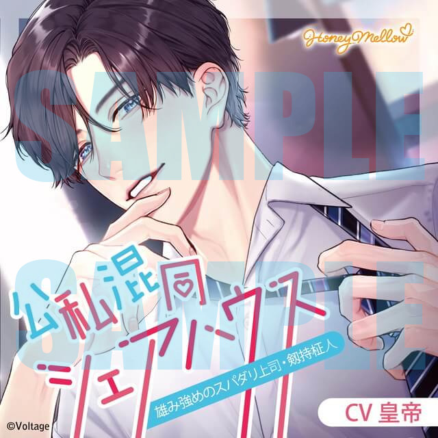 DistortedCode 小冊子 ステラワース あみあみ JOLLYPLAZA DistortedCode 小冊子 ステラワース あみあみ JOLLYPLAZA