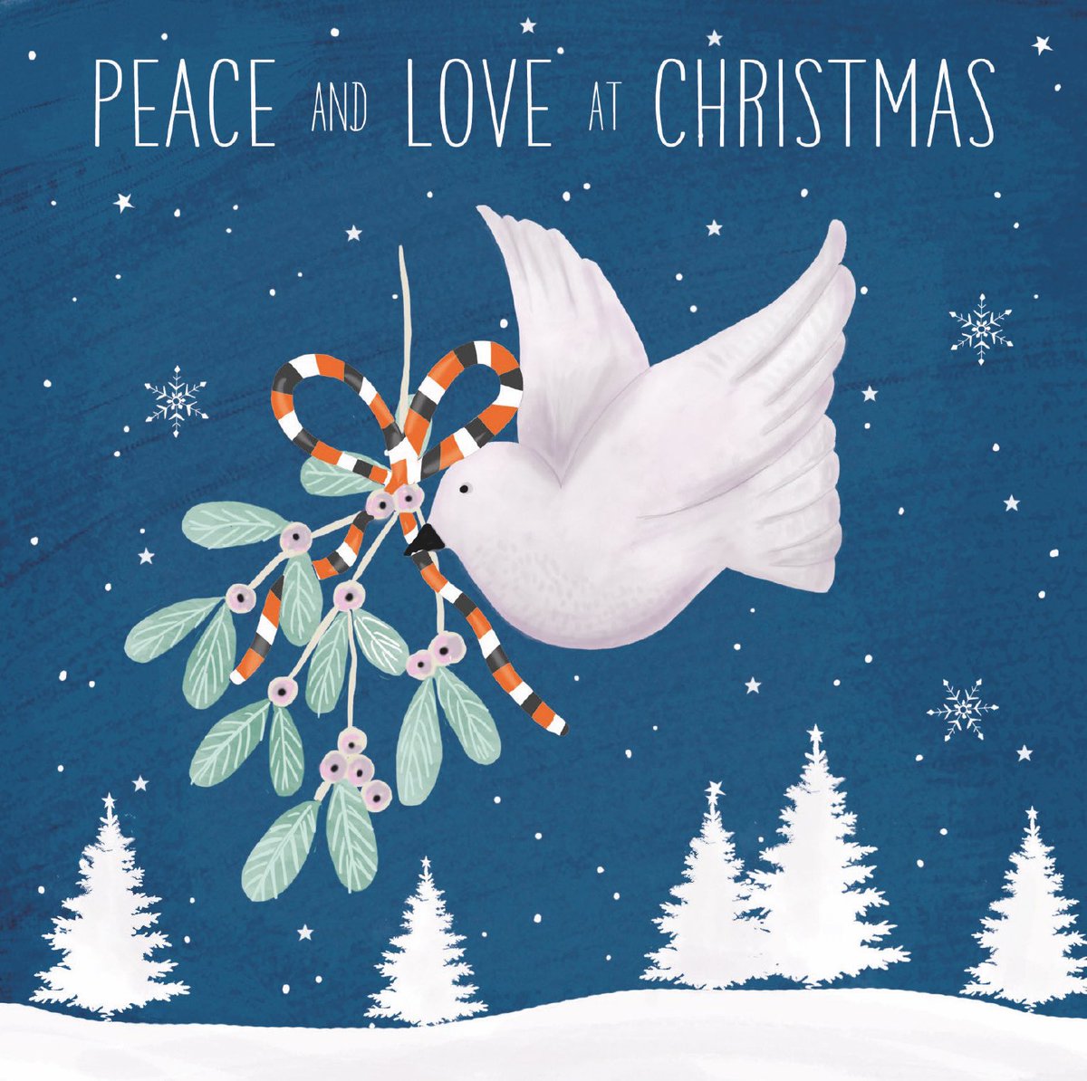 A great big thank you to all for your generous wishes, cards and gifts. Your support to the start of this year has been greatly appreciated. From our family to yours we wish you a very happy Christmas and we’ll see you in the new year. Miss Davies and Mrs Turner 🤍✨