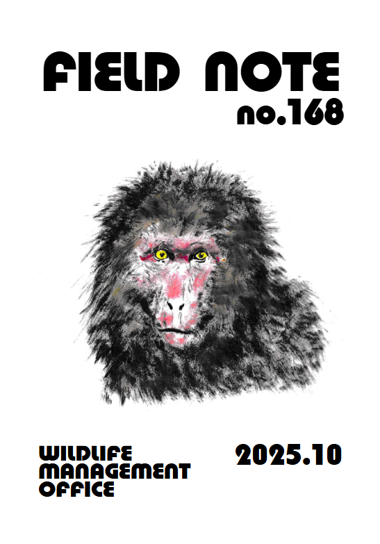 WMOinc_official's tweet photo. 【機関誌】
WMO機関誌『FIELD NOTE』の最新号を無料公開しています！！

168号の主な記事
・サイエンスコミュニケーション＠哺乳類学会
・台北市立動物園で学んだ台湾の哺乳類の現状・保全戦略
・ドングリとの出会い
・国際霊長類学会研修報告
ほか
URLはリプ欄に貼付します
是非ご一読ください！！ https://t.co/i0DcLGsrOB
