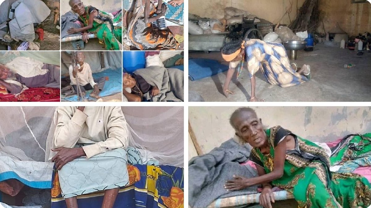 IDPs are suffering under famine, while the TPLF allegedly took 250B birr from gold, far above Tigray’s 12B birr budget, using civilians as political hostages.
#IDPs #FamineCrisis #PoliticalHostage #Tigray #TPLF #HumanitarianCrisis #Accountability