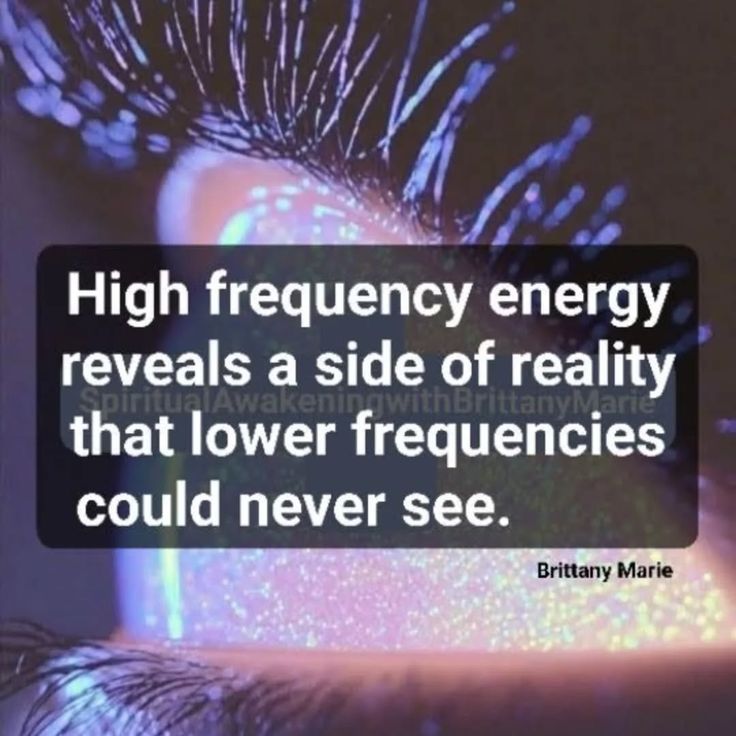 Zen masters tweet media