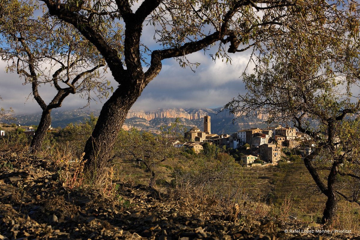 CCPriorat's tweet image. El Consell Comarcal del Priorat es beneficia de diverses ajudes del Patronat de Turisme de la Diputació de Tarragona

priorat.cat/actualitat/el-…