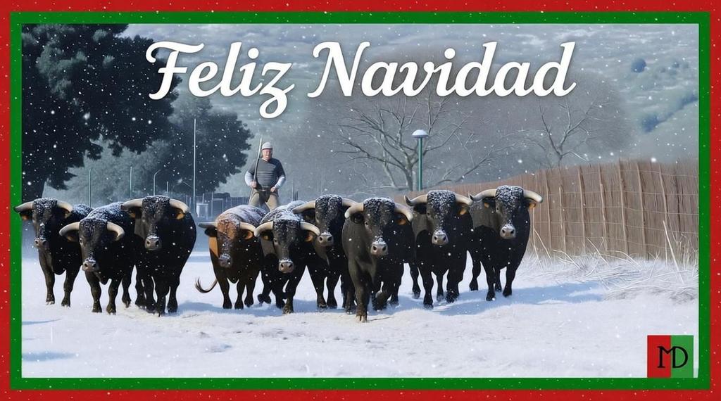 Montealto_UNJ's tweet image. Os deseamos a todos unas felices fiestas....🌲🎄🪅