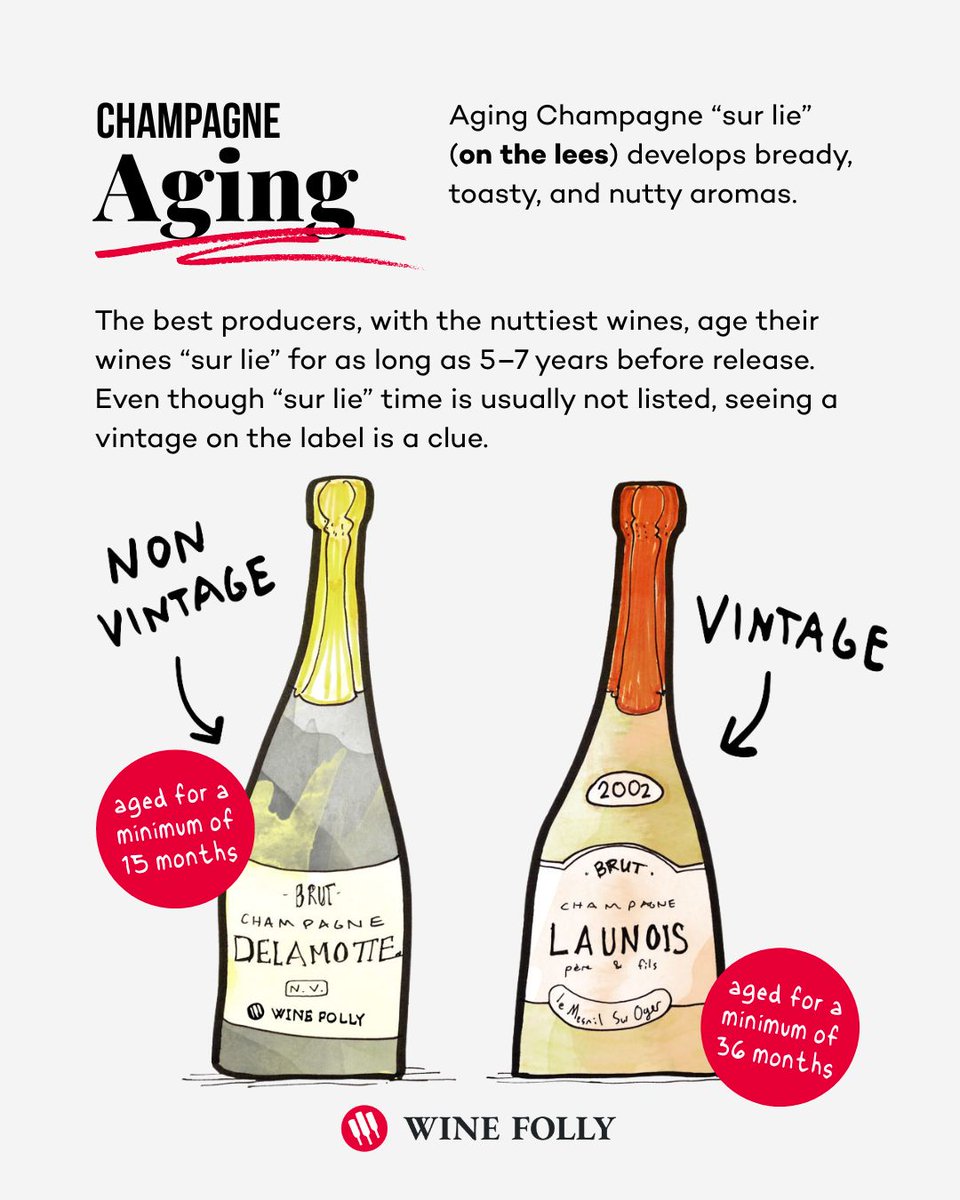 Champagne sets itself apart long before the cork flies. Every bottle is the result of sharp acidity, precision blending, and an aging process that transforms simple base wine into something layered and electric. Understanding those steps is the real key to choosing well.

Start
