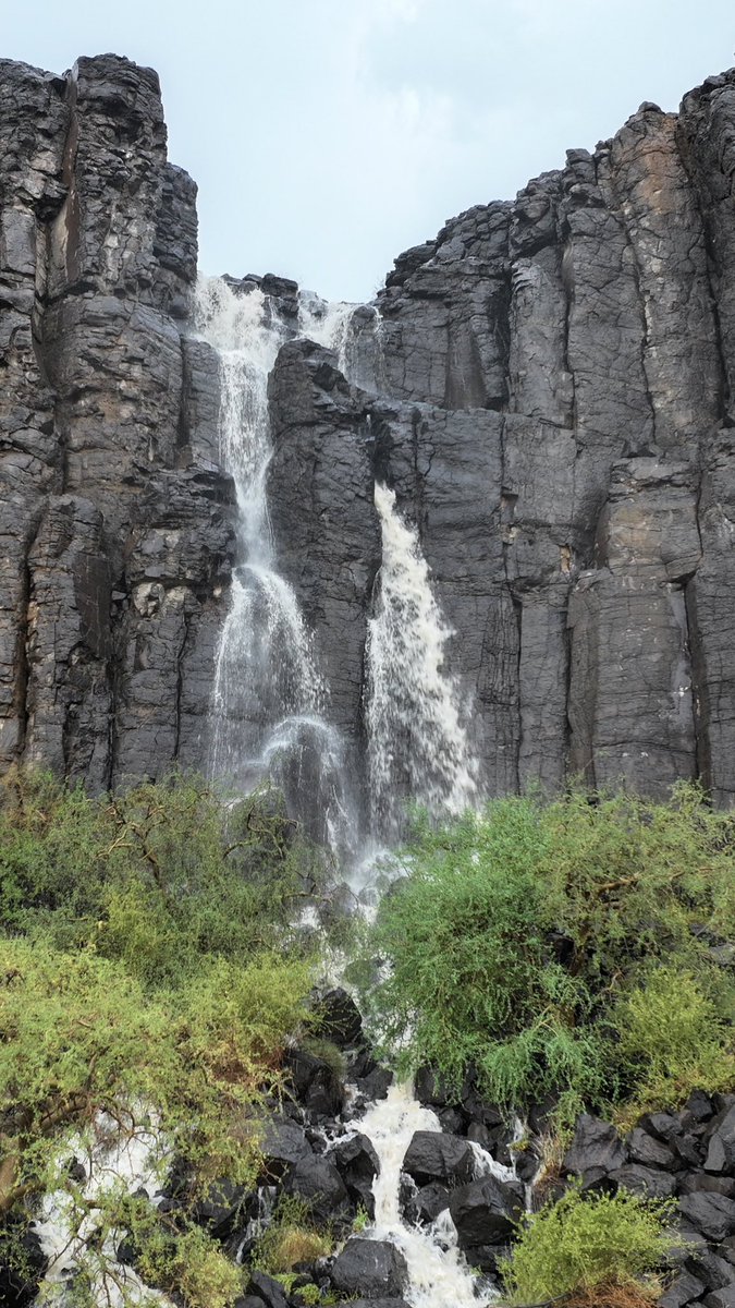 #عطنا_صوره_من_تصويرك