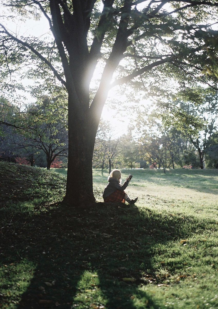 ran_a0_'s tweet image. 光をめくる