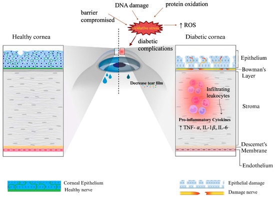 Applsci's tweet image. ☀️Welcome to read these review papers in the Section "Biomedical Engineering"!
1. A Taxonomy of Methods, Techniques and #Sensors for Acquisition of #PhysiologicalSignals in #DriverMonitoringSystems
by Galidiya Petrova, Hristo Radev, Mitko Shopov and Nikolay Kakanakov