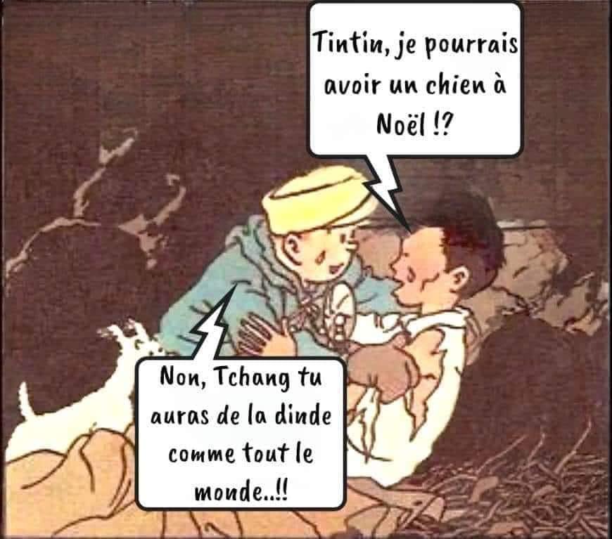 patchagil's tweet image. 