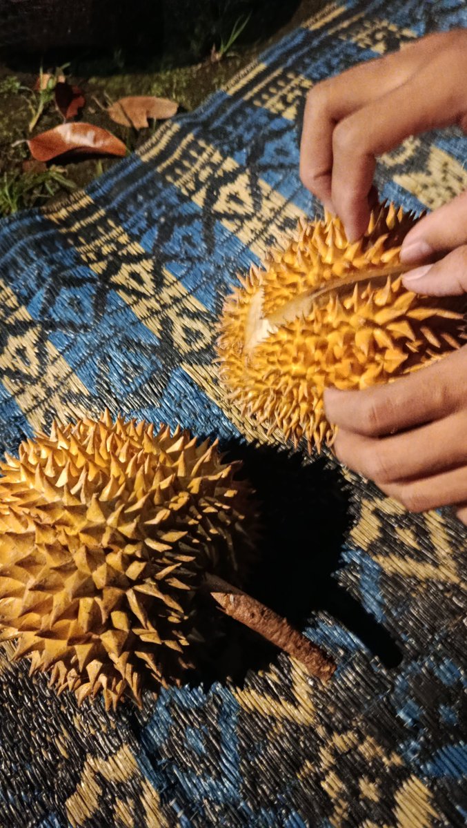 nonareview's tweet image. kecil2 tapi maniss