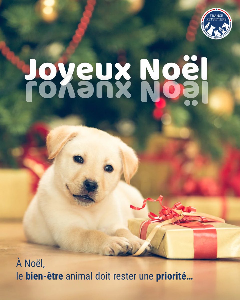 France Petsitters tweet media