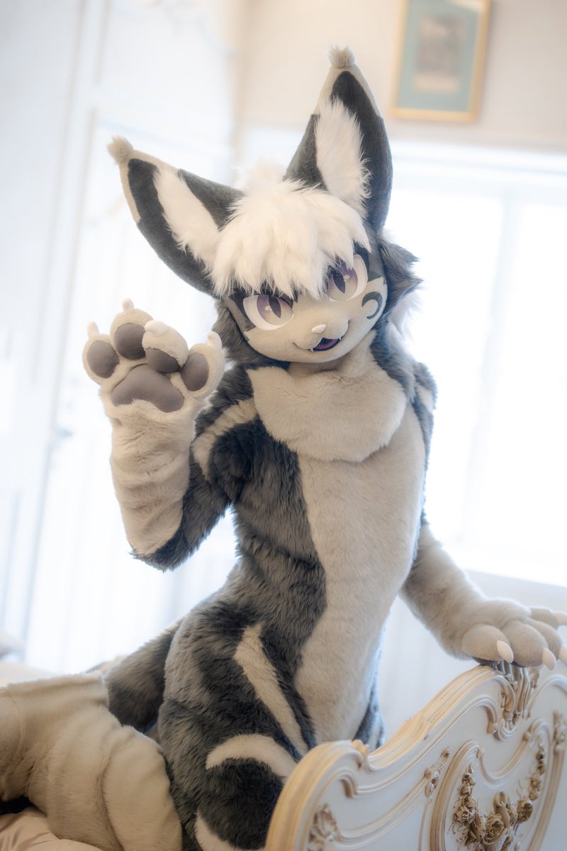 👋

📸: <a href="/HOYO_110/">HOYO (호요)</a>
#FursuitEveryday #Fursuit