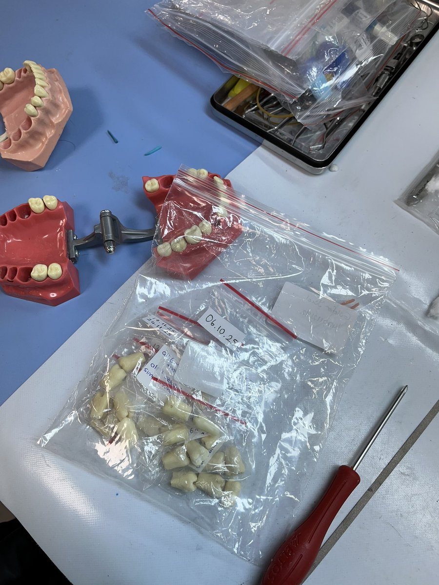 bitti amına koyayım