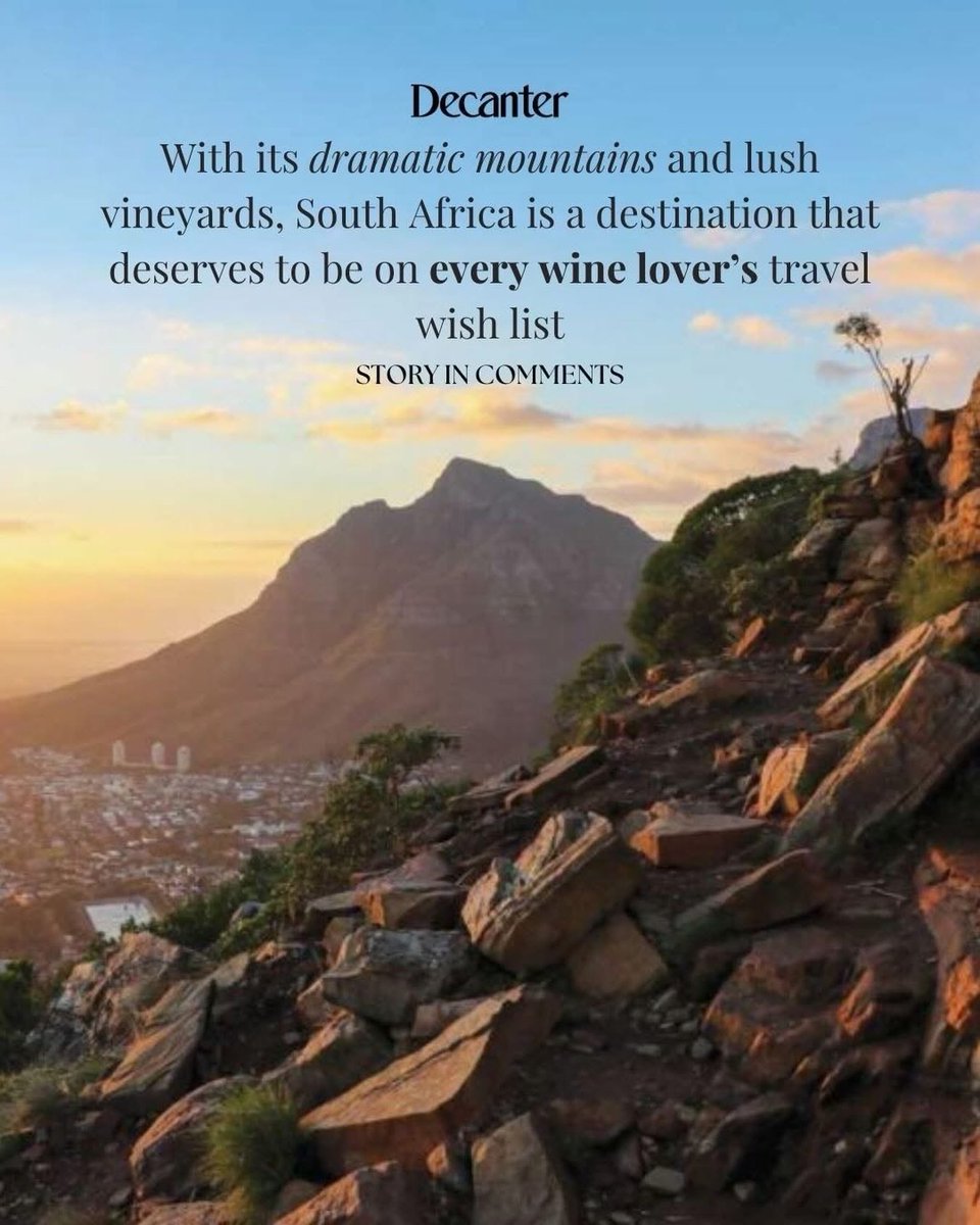 Malu Lambert tweet media