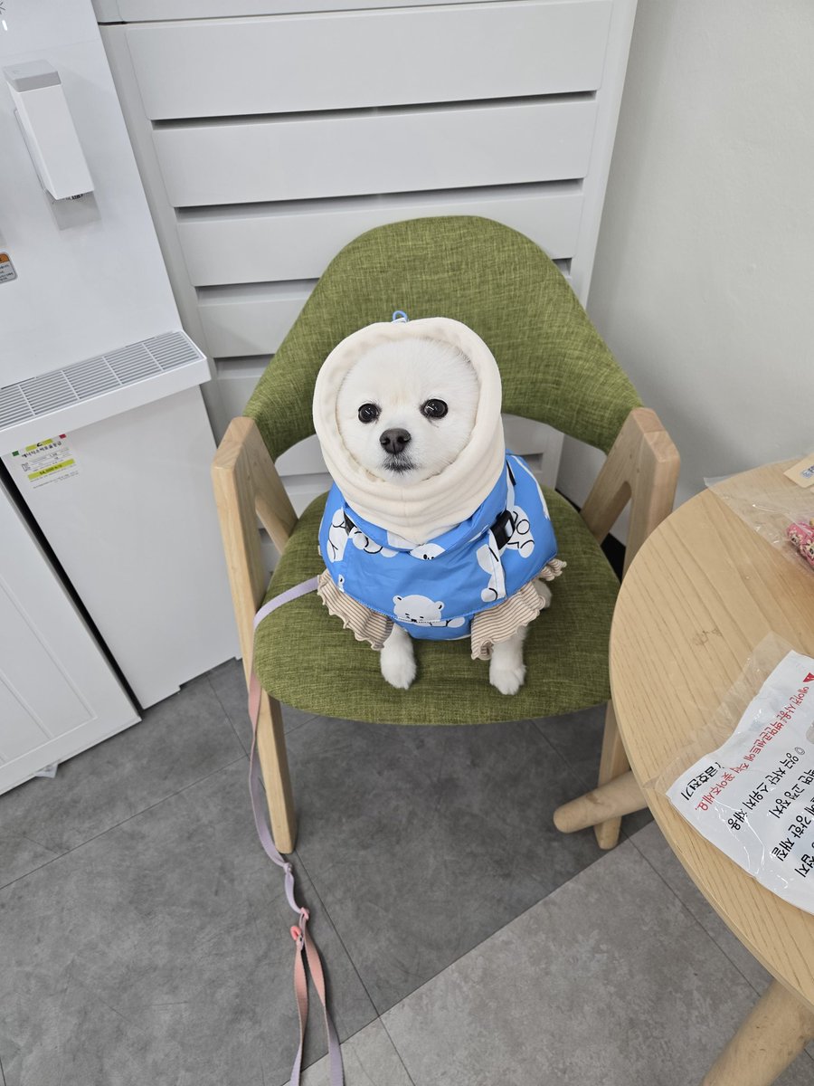 우리 김겨울이~~