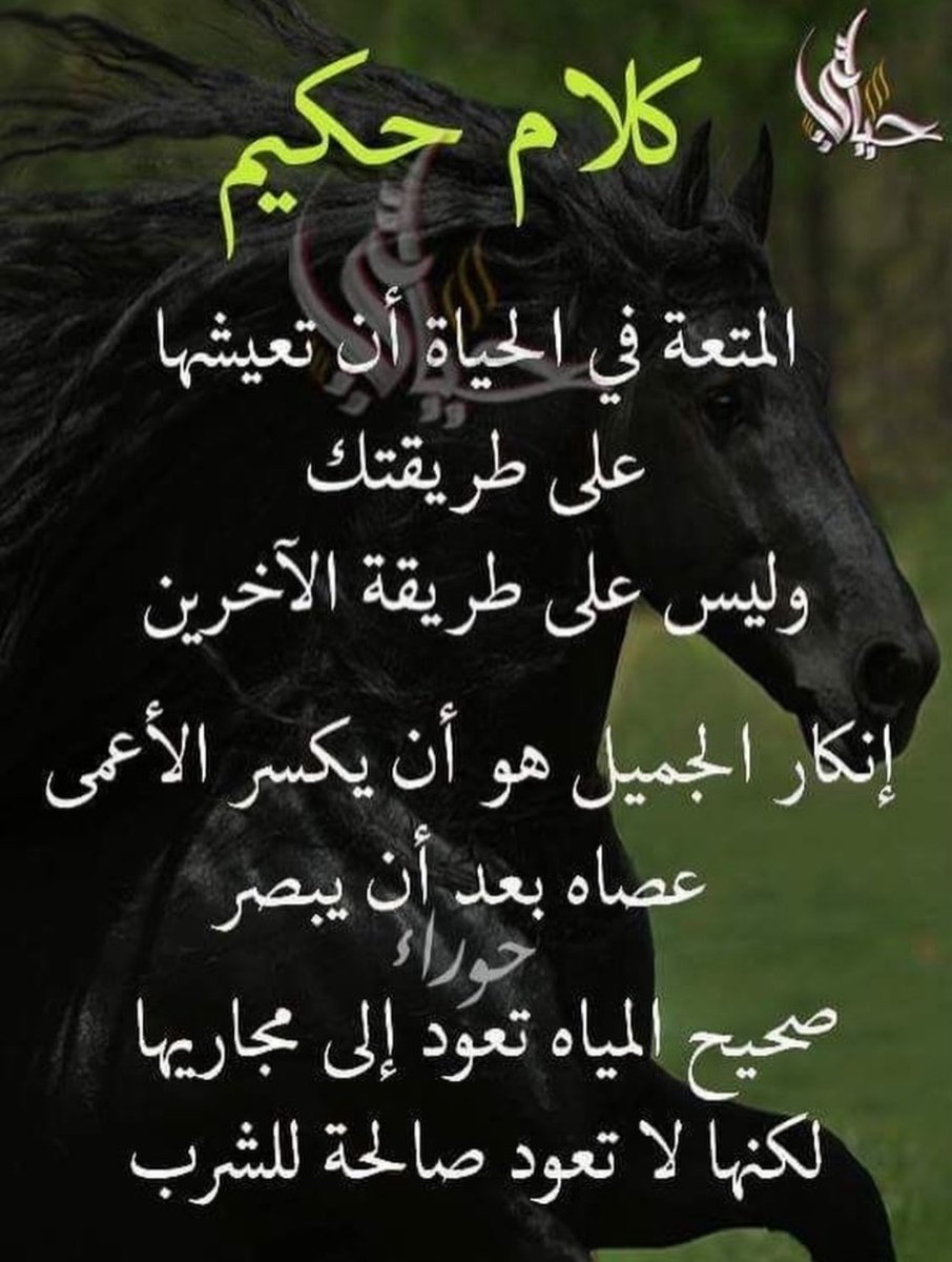 مساء الخير للجميع.
حكمة اليوم.