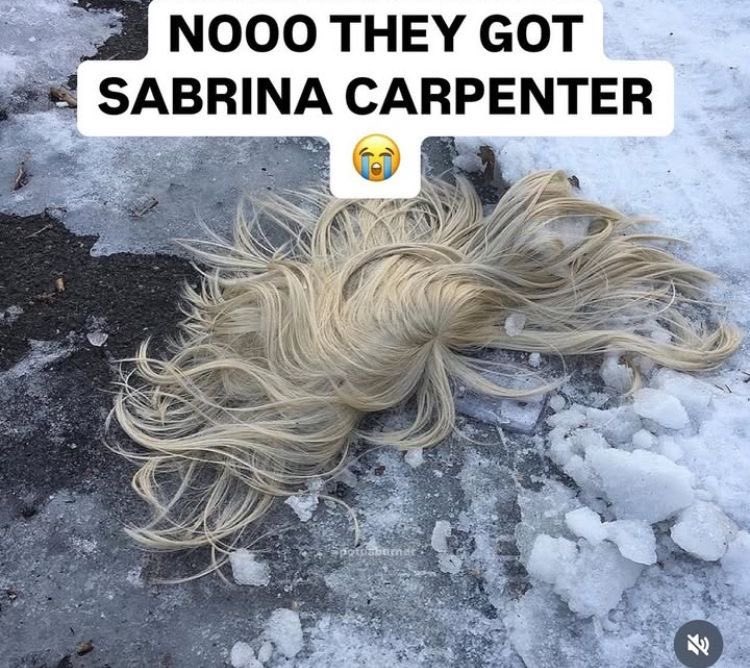 housestour's tweet image. 