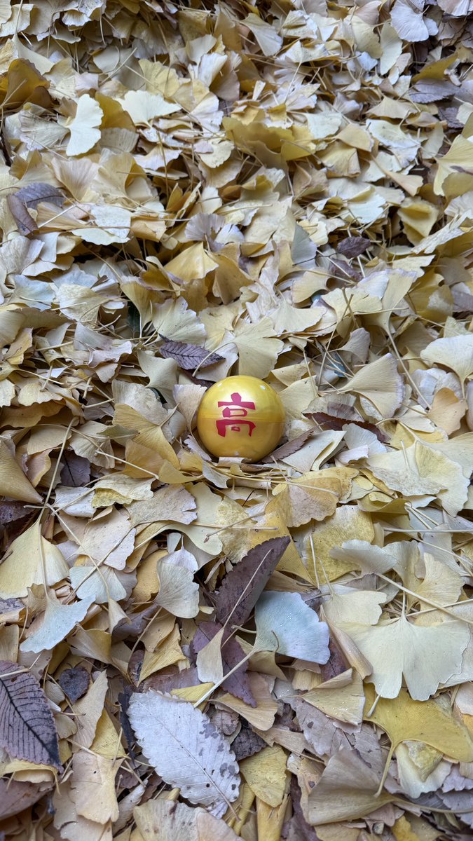 Dragon Ball 🟡 🐷
#高橋優 #自由悟然 #スペシャ