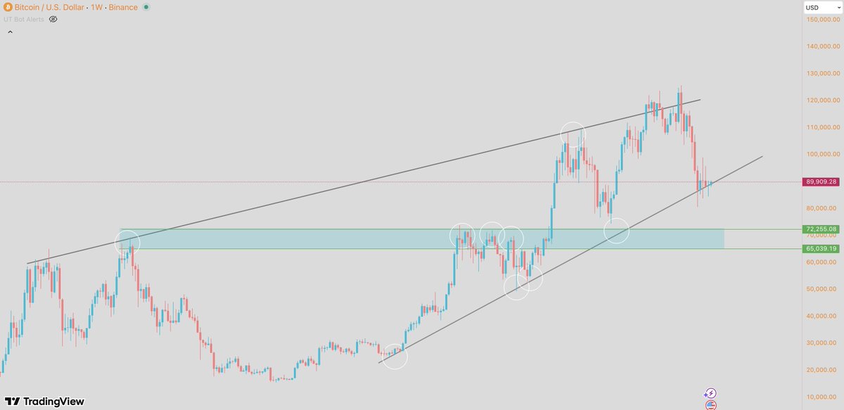 🦖WAGMISAURUS REX🦖 tweet media