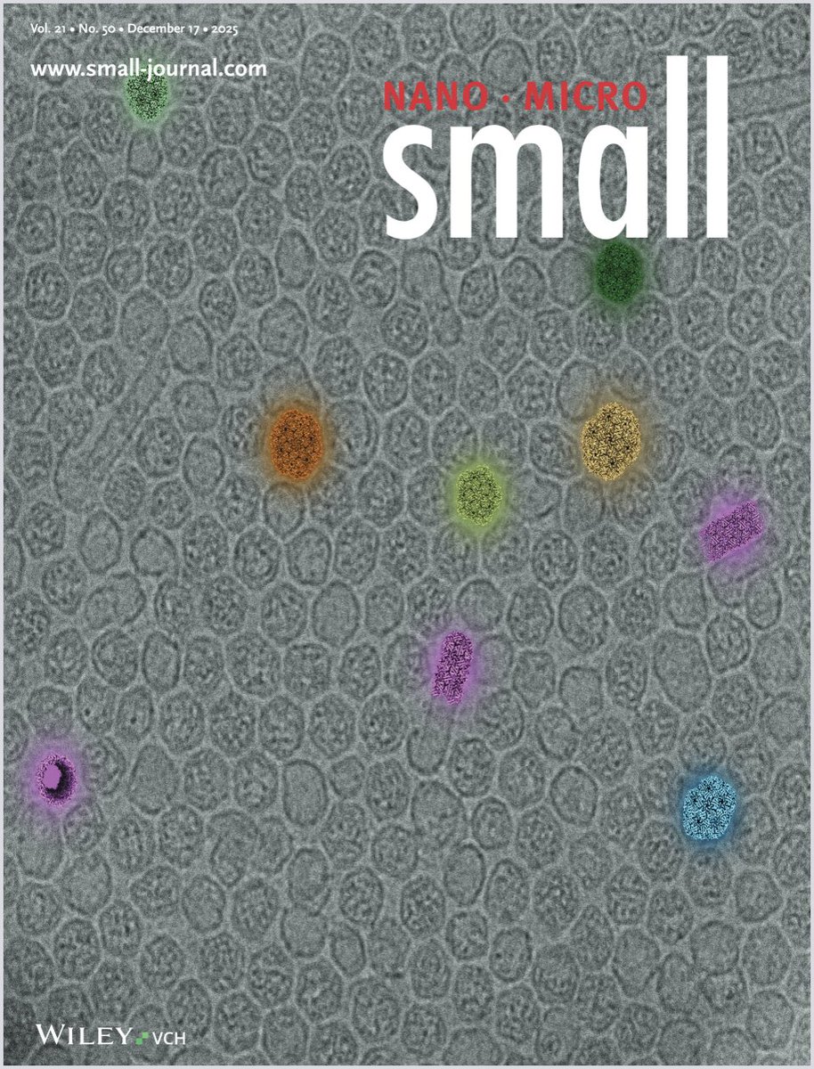 New York Structural Biology Center tweet media