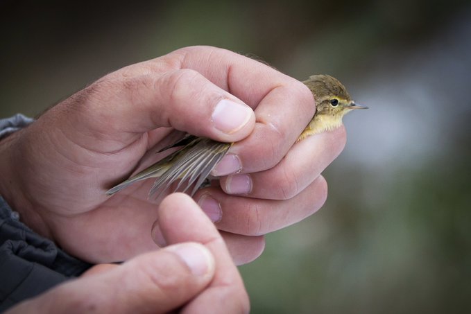 Image de l'actu de Département de la Charente-Maritime