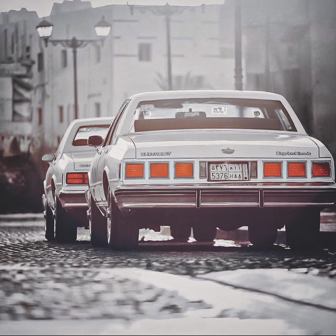 mansoralassaf's tweet image. شتاءات لا ينساها سكان المنطقة الوسطى..
١٣٩٢ - في ظاهرة نادرة الحدوث ثلج قطني على مدينة الرياض.
١٤٠١ - أمطار عزيرة على معظم البلدات والقرى، والملك خالد وولي عهده الملك فهد، يزوران معظم مدن وبلدان شمال نجد🌧️🌨️.
١٤٠٢ - أمطار وسيول غزيرة، ووادي الرمة يفيض فوق العبارات والطرق.🌧️⛈️🌨️…