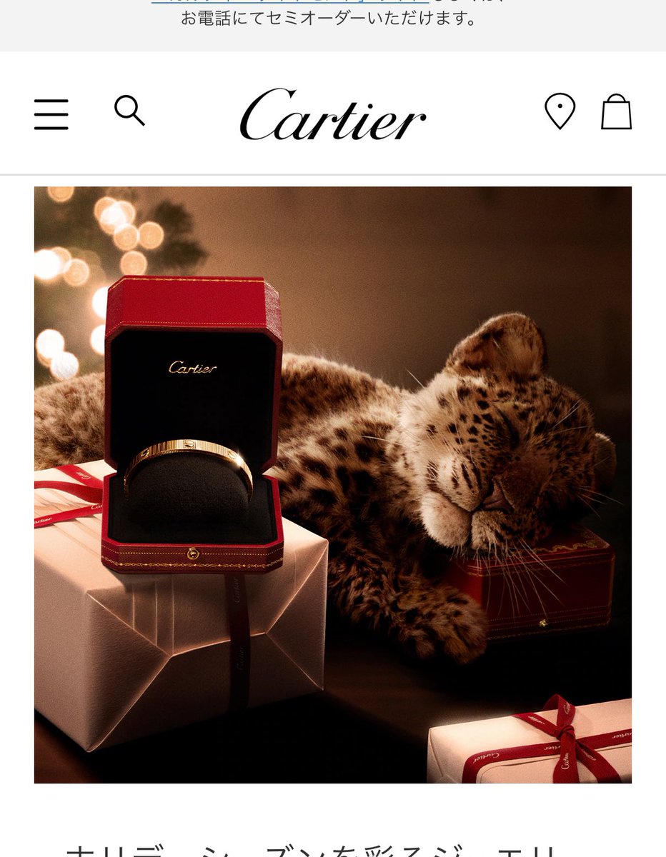 9月に銀座で見惚れたヒョウ 今日、梅田で見かけて倒れそうになった