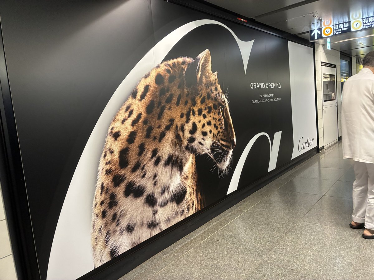 9月に銀座で見惚れたヒョウ 今日、梅田で見かけて倒れそうになった