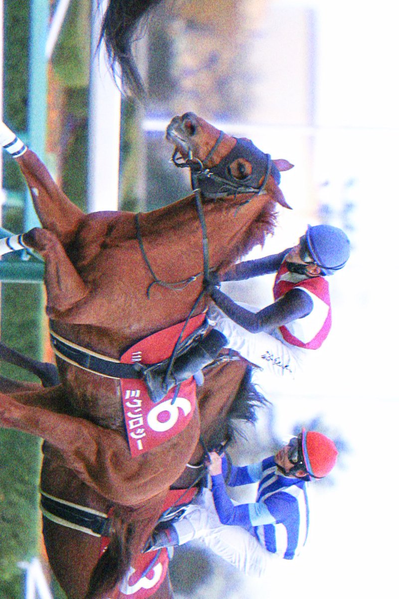 stkwd's tweet photo. 🏇✩ https://t.co/cvczs8QYlk