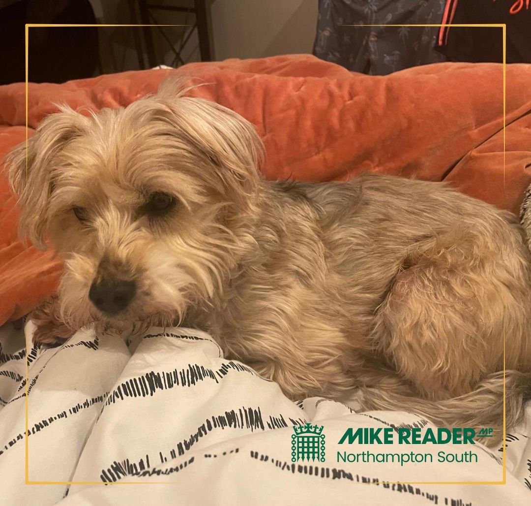 Mike Reader MP tweet media