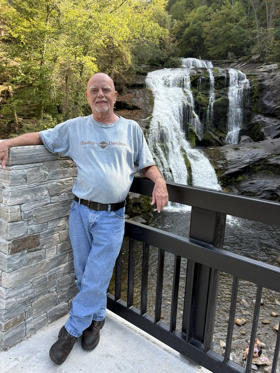 David Webb tweet media