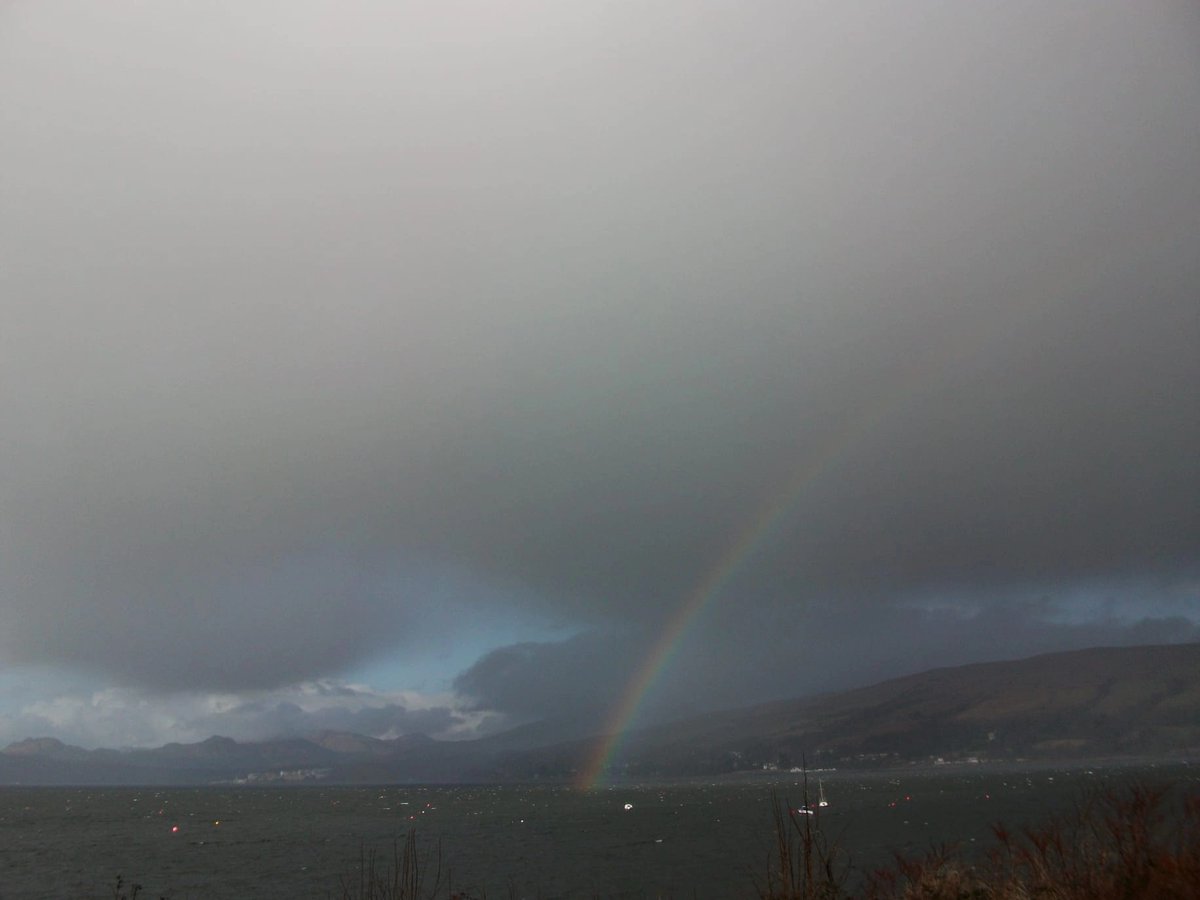 Daily Picture Theme tweet media