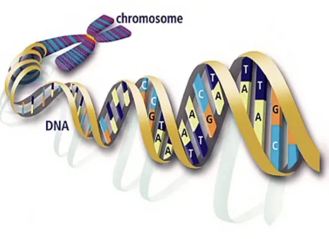 هيئة كبار العلماء بالسعودية تعترف بـ"الحمض النووي"

alarabiya.net/articles/2012%…