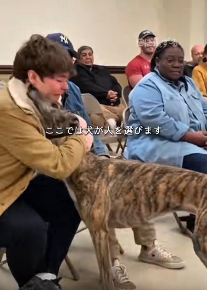 どこかで見た気がする