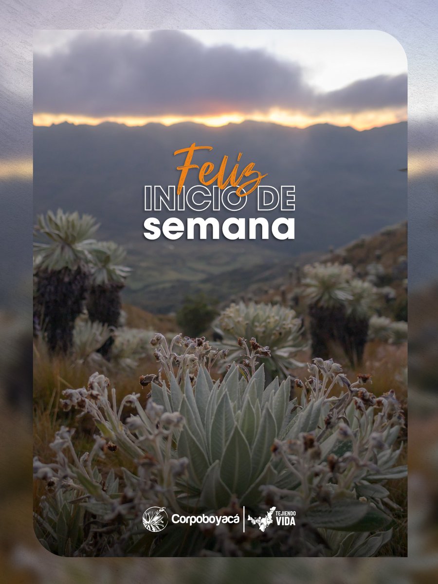 🌿✨ Comenzanos la semana recordando la maravilla natural que tenemos en Boyacá: el Páramo Siscunsí-Ocetá, uno de los ecosistemas de alta montaña mejor conservados del país.

🌄 Este páramo actúa como esponja de agua natural, alimentando quebradas y ríos.