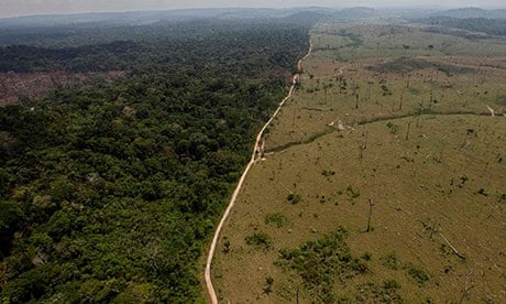 AbiluTangwa's tweet image. When "feeding the world" means destroying the very ecosystems that make life possible, that's not agriculture. It's #EnvironmentalTerrorism.