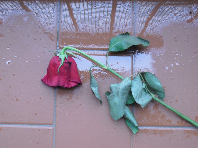 annflxke's tweet image. 