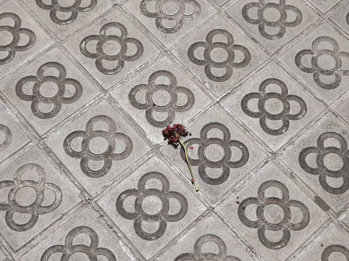 annflxke's tweet image. 