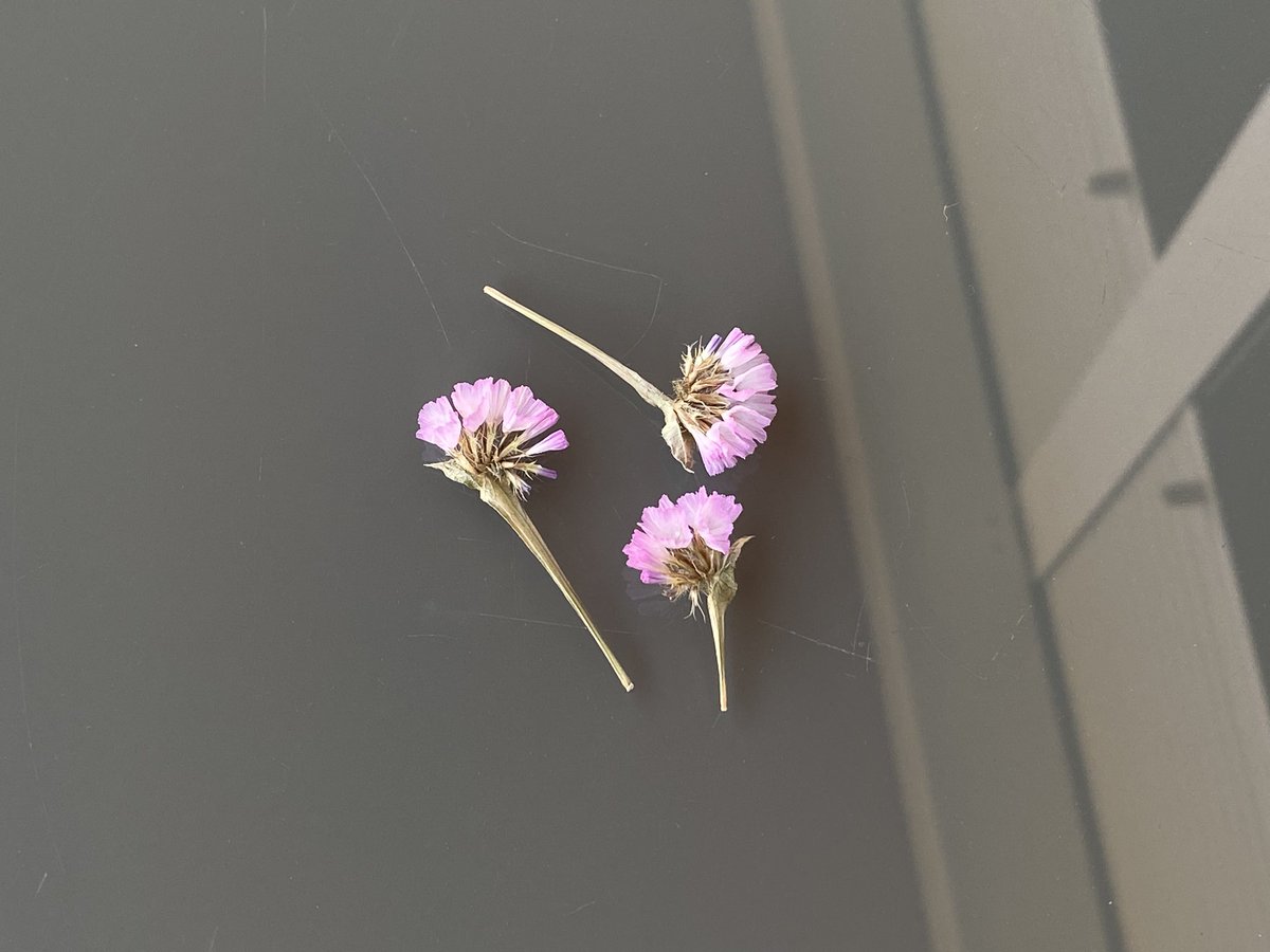 annflxke's tweet image. 