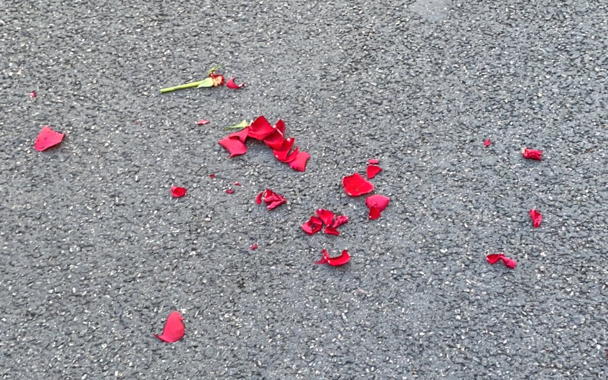 annflxke's tweet image. 