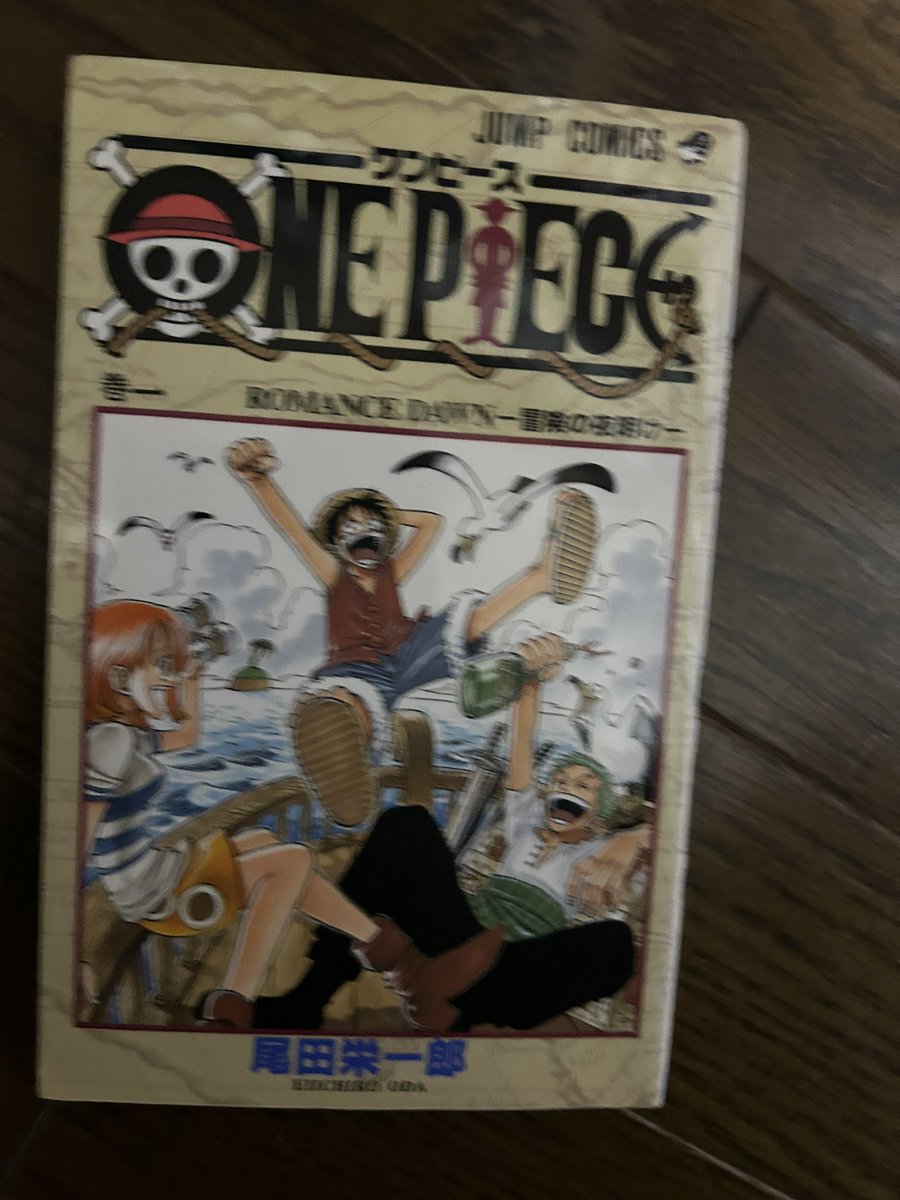 2025年に読んだ漫画 99 ONE PIECE 1〜113巻 ONE PIECEにしました。年内