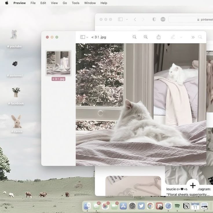 missdelicatie's tweet image. 