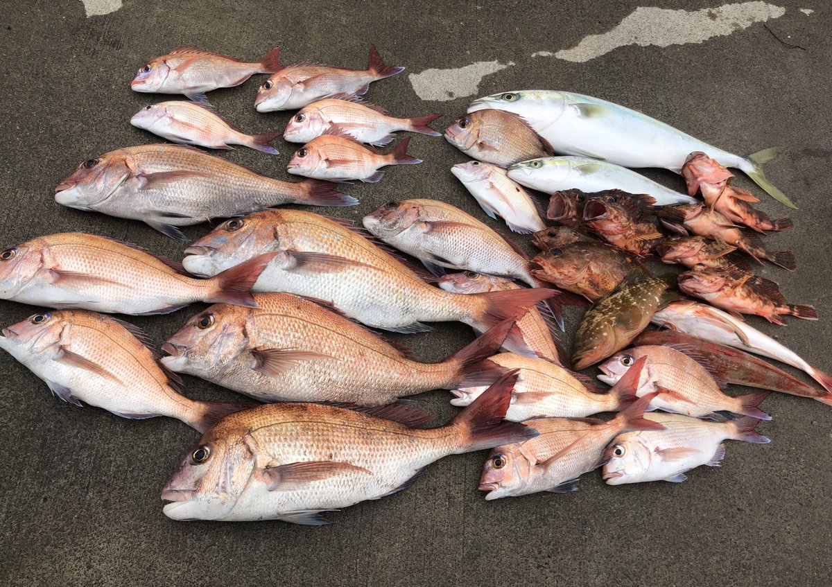 タイラバ　10月29日迄 タイラバ