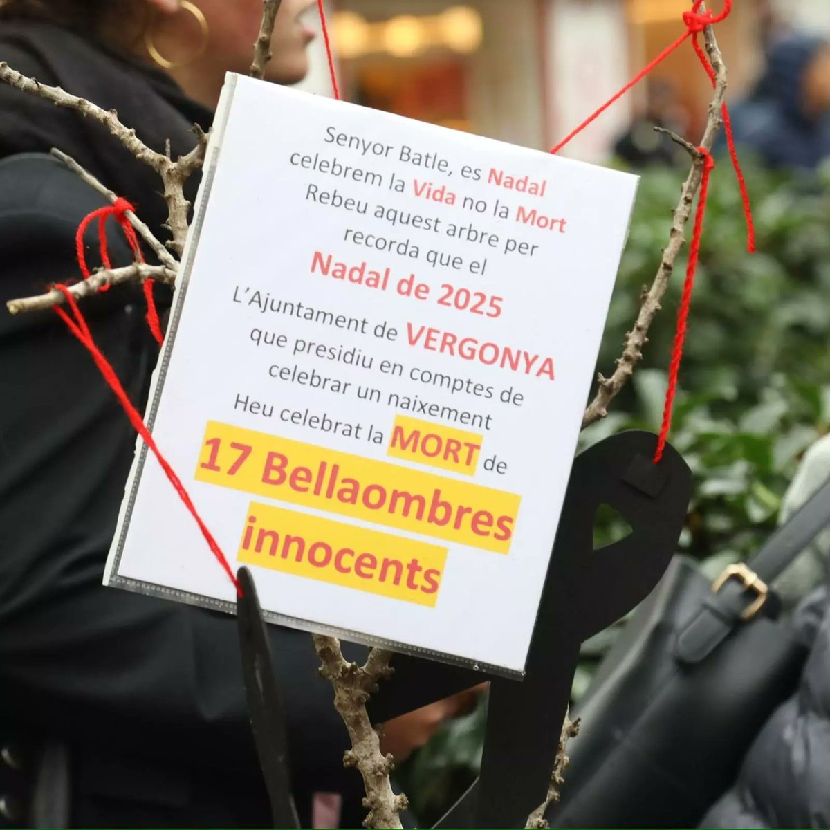 GOB Mallorca tweet media