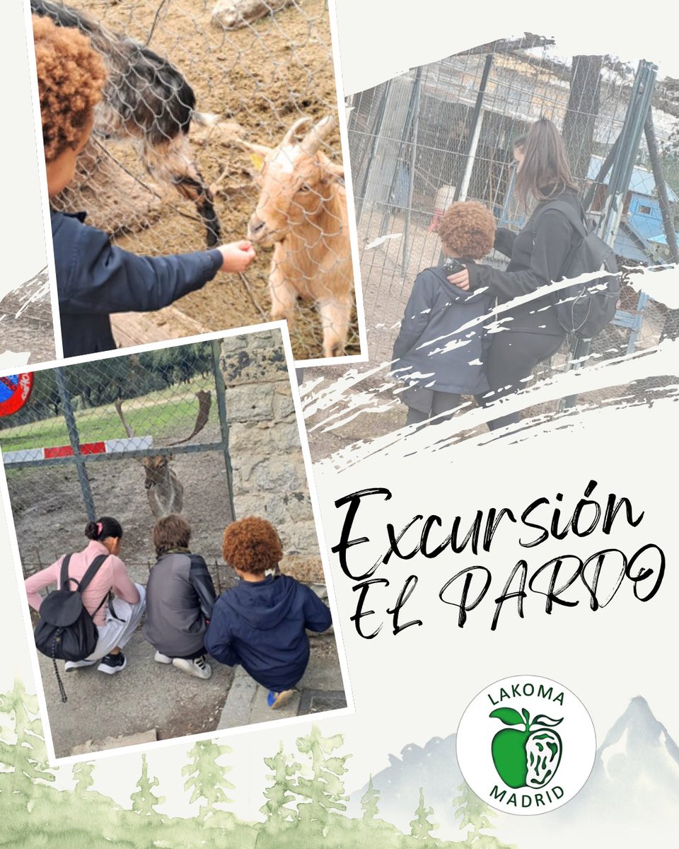 🌳✨ El otro día los más pequeños disfrutaron de una excursión al Pardo. Naturaleza, juegos y muchas sonrisas para un día inolvidable. 😍

#alternativashabitacionales #creandohogar #personassinhogar #psh
#madrid #proyecto2025 #social #hogar #apoyo #tetuán #formación