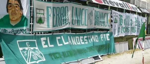 Ferro stone tweet media