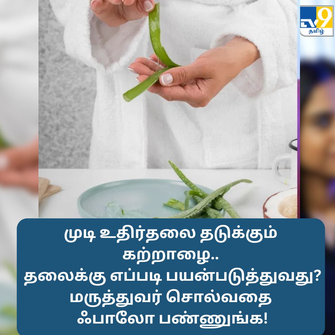 TV9Tamil's tweet image. முடி உதிர்தலை தடுக்கும் கற்றாழை.. தலைக்கு எப்படி பயன்படுத்துவது? மருத்துவர் சஹானா விளக்கம்!

மேலும் முழு விவரங்கள் முதல் கமெண்டில்..

#hairfall #hairfallcontrol #hairfallsolution #aloeveragel