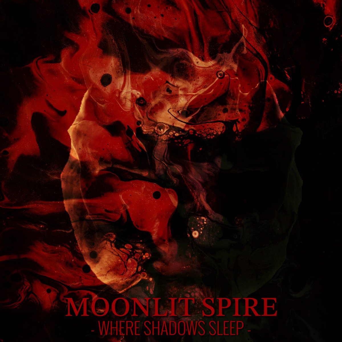 DualFuzz's tweet image. Dennis, co-founder of Dual Fuzz, just released single #2 with his project Moonlit Spire. Check it out!

youtu.be/kziK8P-OhWY?si…